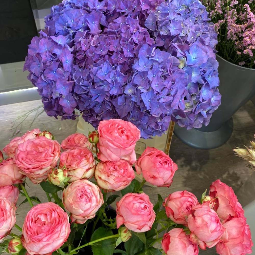 Pink Roses and Purple Hydrangeas from Floral Request, Ellon
