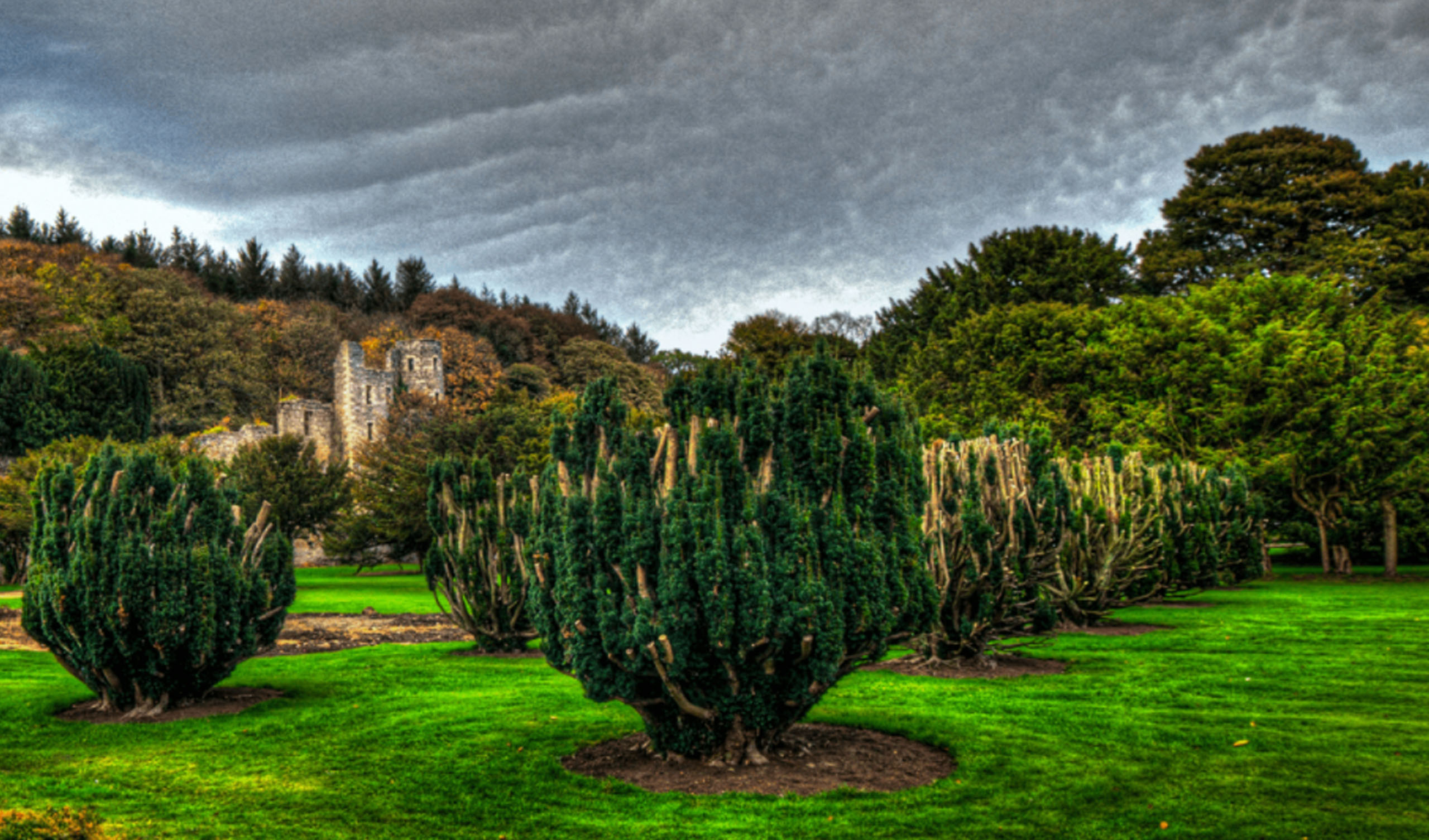 Photograph courtesy of Ellon Castle, copyright Ellon Castle Gardens, Ellon, Aberdeenshire - https://www.elloncastlegardens.net/.